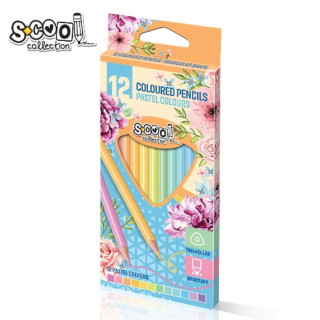 DRVENE BOJE S-COOL 12/1 PASTEL 