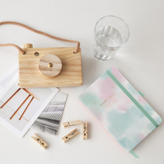 PLANER PASSPORT D/P GRADIENT 26 31287 