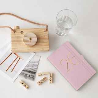 PLANER PASSPORT D/P CHESTER RIG PINK 26 31279 