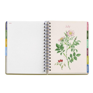 PLANER PLUS W-O D/P GARDEN ENTREDOS 26 34581 