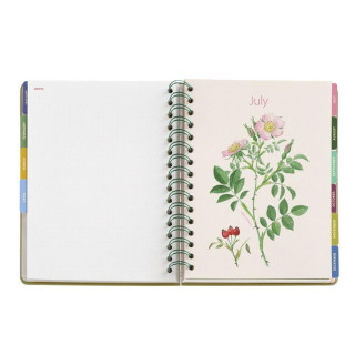 PLANER PLUS W-O W/V POPPY ENTREDOS 26 34578 