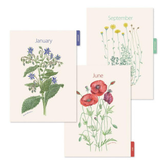PLANER PLUS W-O W/V POPPY ENTREDOS 26 34578 
