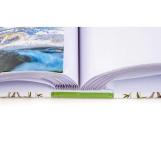 FOTO ALBUM B-46200 ABLOOM 2 10*15 