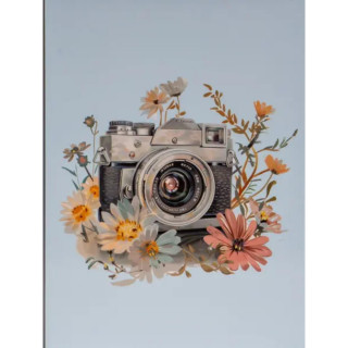 FOTO ALBUM DPH-4636 LENS 1 10*15 