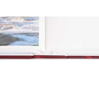 FOTO ALBUM MM-46200 VINYL 1 BURG.10*15 