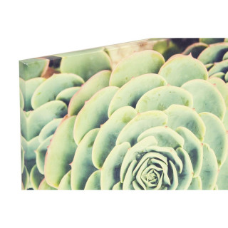 SLIKA 40X40X2 CACTUS 
