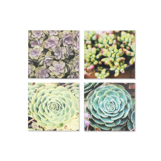 SLIKA 40X40X2 CACTUS 
