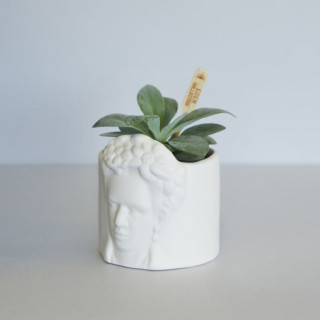Saksija mini, Frida, bijeli, ceramic 