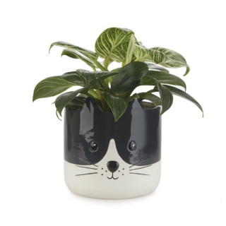Saksija, Kitty, crni/bijeli, ceramic 