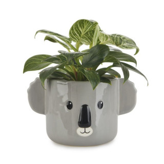 Saksija, Koala, gray, ceramic 