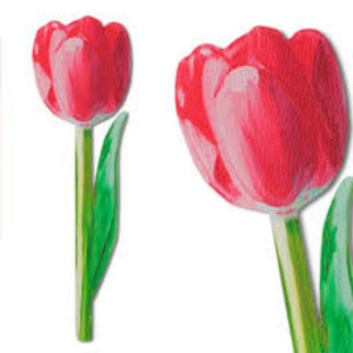 OBILJEŽIVAČ STRANICA FLOWER PAINTED PINK TULIP 