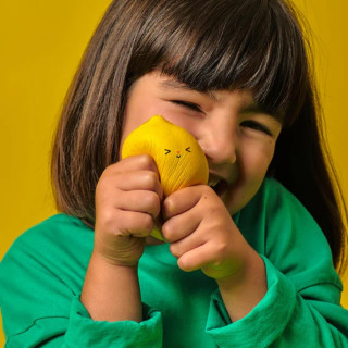 LOPTA ZA CIJEĐENJE VOĆA KID62-A 