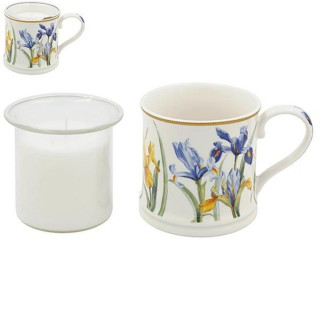 POKLON SET SVIJEĆA IRIS LP76667 