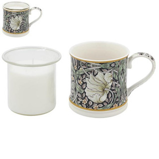 POKLON SET SVIJEĆA PIMPERNEL LP76660 