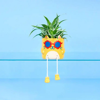 SAKSIJA COOL CAT YELLOW DIA.13CM 