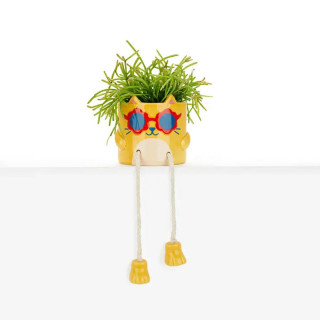MALA SAKSIJA ZA CVEĆE COOL CAT YELLOW 
