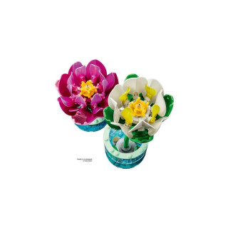 LOPOČI 