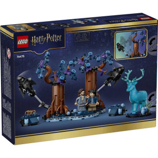 EXPECTO PATRONUM 