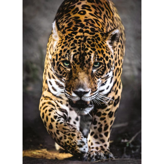 PUZZLE 1000 CL WILDLIFE 