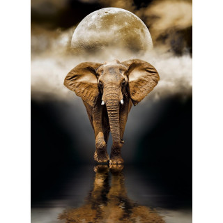 PUZZLE 1000 HQC SLON 