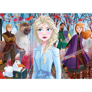 PUZZLE 2X20+2X60 FROZEN 2 