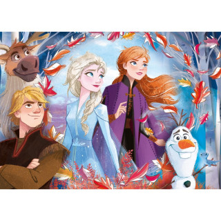 PUZZLE 2X20+2X60 FROZEN 2 