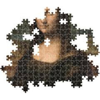 PUZZLE 1000 HQC MUSEUM-MONA LISA COMPACT 