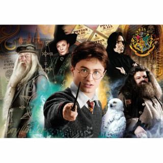 Puzzle 500 harry potter compact 35534 