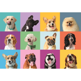 PUZZLE 300 FUNNY FACES 2025 21739 