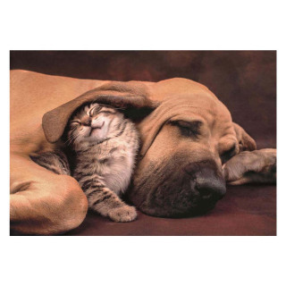 PUZZLE 500 HQC CUDDLES COMPACT 