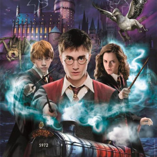 PUZZLE 1000 HARRY POTTER COMPACT 