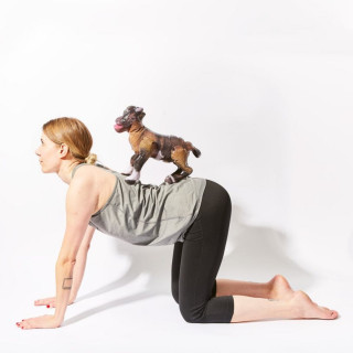 DRUŠTVENA IGRA GOAT YOGA 