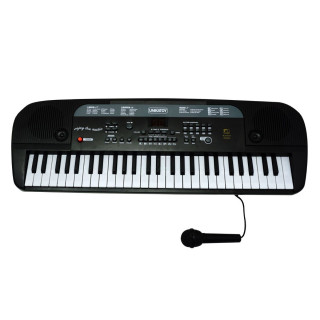 PIANO MIKROFON 54 UNIKATOY BAT. 