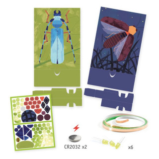 LIGHT UP CARDS - Insectarium 