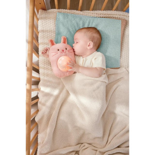Hape moj prvi muzički prijatelj Rabbit H0114 