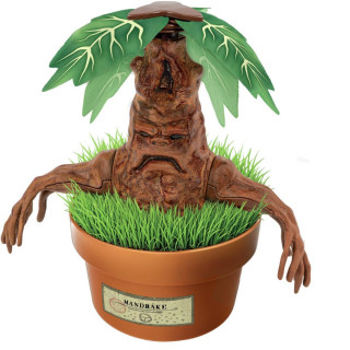 HP MANDRAGOLA 