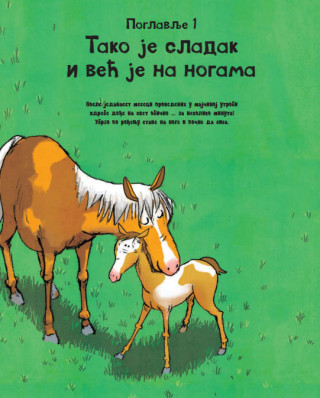 SVE O KONJU I JOŠ PONEŠTO 