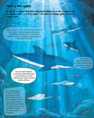 SVE O AJKULI I JOŠ PONEŠTO 