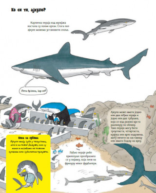 SVE O AJKULI I JOŠ PONEŠTO 