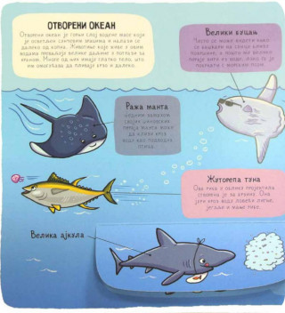 PODVODNI SVET MALI ISTRAŽIVAČI 