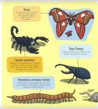 BUBE I ... MALI ISTRAŽIVAČI 