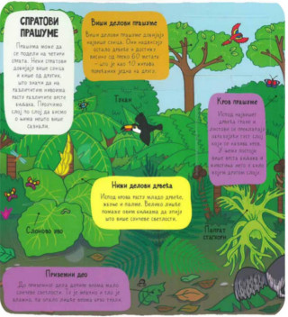 PRAŠUMA - mali istraživači 