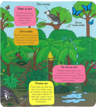 PRAŠUMA - mali istraživači 