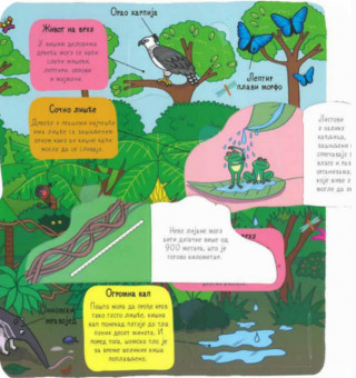 PRAŠUMA - mali istraživači 