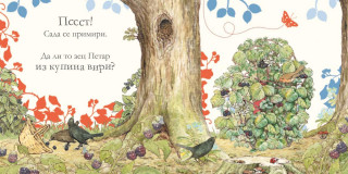 Gde je zec Petar? Slikovnica skrivalica 