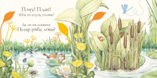 Gde je zec Petar? Slikovnica skrivalica 