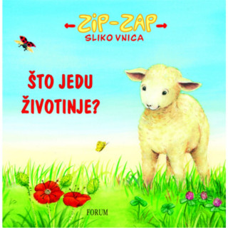 ZIP ZAP SLIKOVNICA 