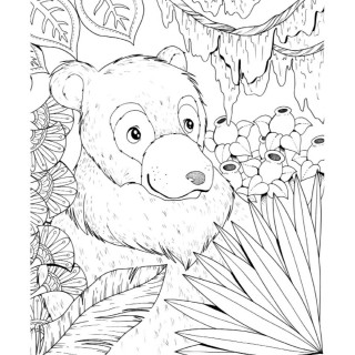 Knjiga o džungli - bojanka 