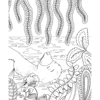 Knjiga o džungli - bojanka 