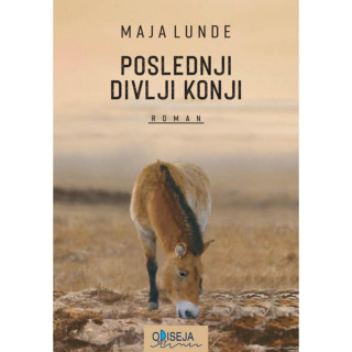Poslednji divlji konji 